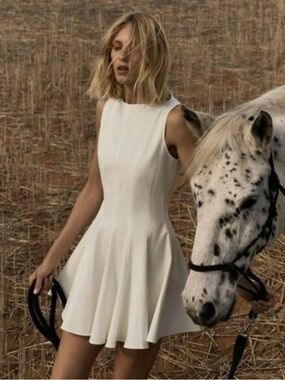 Zara Skater Dress 😍 New!